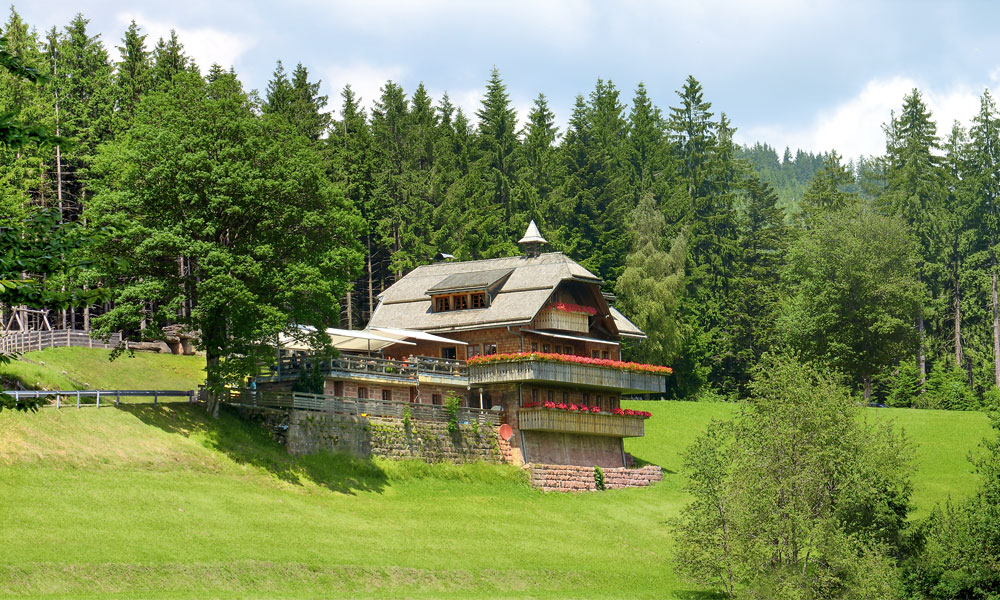 Dollenberg Hütte
